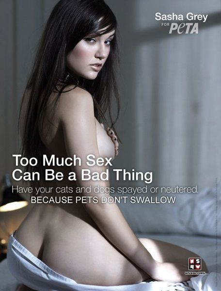 best sasha grey images on pinterest sasha gray grey and mindful gray