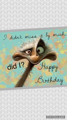 funny birthday pictures birthday photos birthday pictures